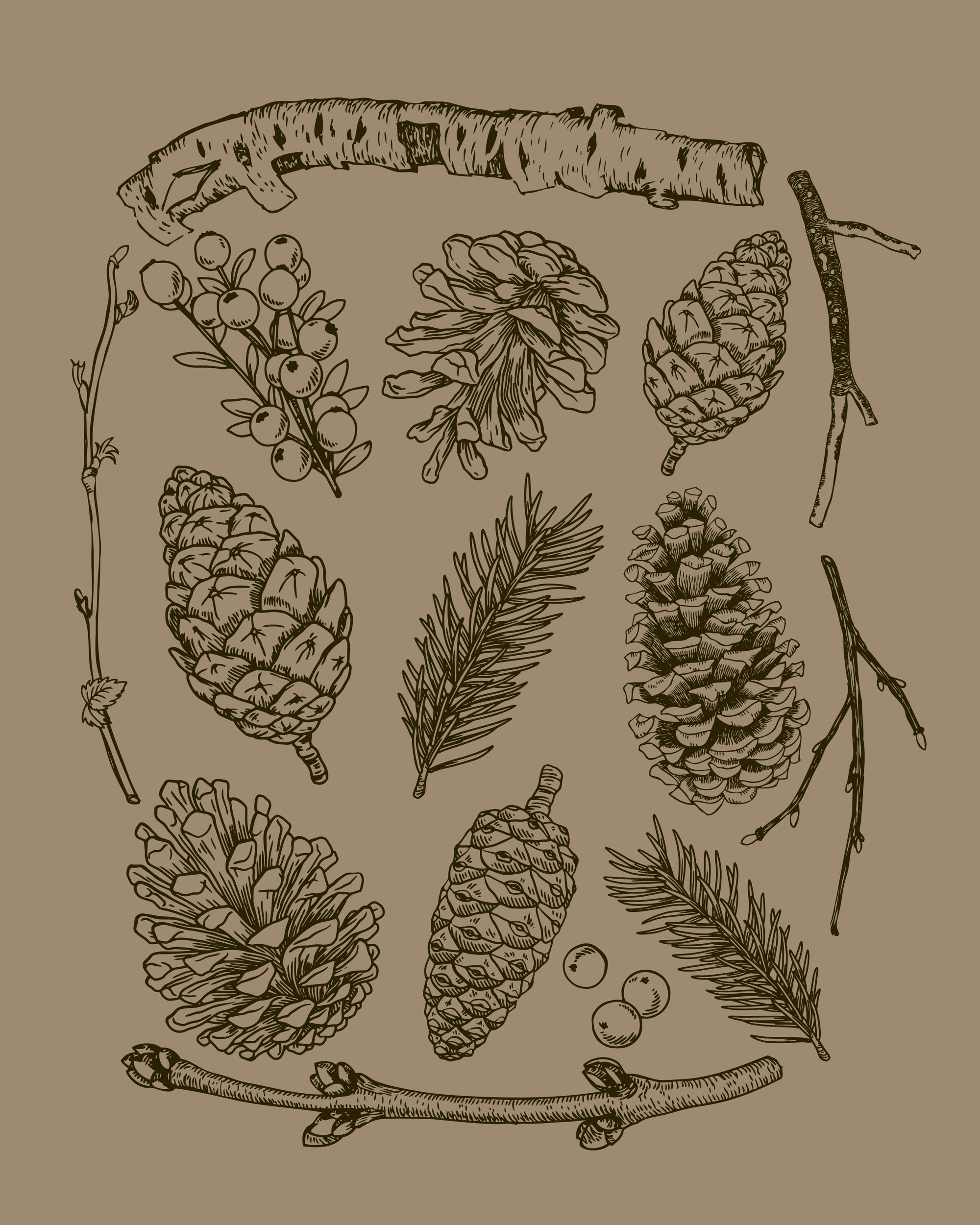 Pinecones · Cotton T-Shirt